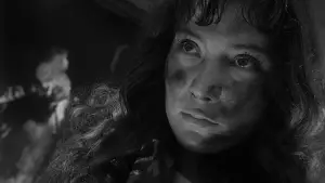 Задник до фильму"Летять журавлі" #720493