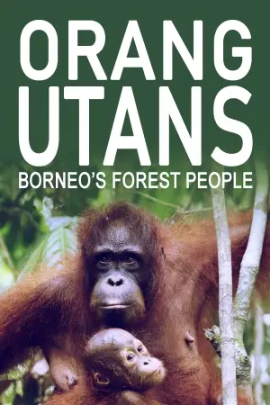 Постер до фильму"Orang-Utans - Borneos Waldmenschen" #922243