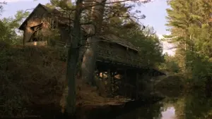 Задник до фильму"Срібна куля" #280905