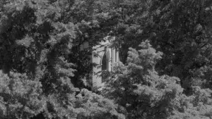 Задник до фильму"Materia vibrante" #789091