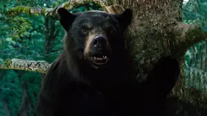 Задник до фильму"Ведмідь під кайфом" #718947