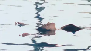 Задник до фильму"Двері 2: Токійський щоденник" #801941