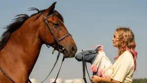 Задник до фильму"Pferd am Stiel" #776054