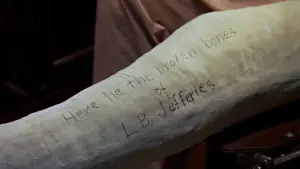 Задник до фильму"Вікно у двір" #633220