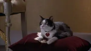 Задник до фильму"Щоденники принцеси 2: Королівські заручини" #807205