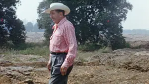 Задник до фильму"" #531332