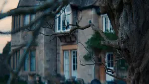 Задник до фильму"" #491168