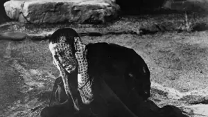 Задник до фильму"Кайдан" #813038