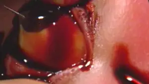 Задник до фильму"ギニーピッグ 悪魔の実験" #800499