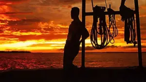 Задник до фильму"Форрест Ґамп" #528491