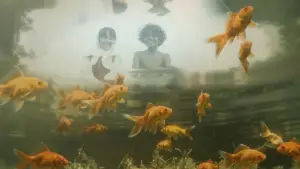 Задник до фильму"മഴമീനുകൾ" #770678