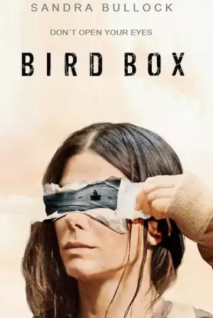 Постер до фильму"Пташиний короб" #801800