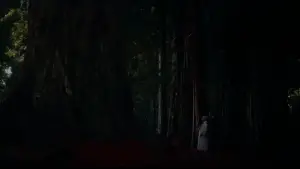 Задник до фильму"Запаморочення" #635972