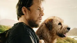 Задник до фильму"" #603377