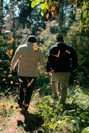 Постер до фільму "The Guardian of the Monarchs"