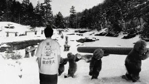 Задник до фильму"Hundreds of Beavers" #756240