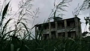 Задник до фильму"Техаська різанина бензопилою" #711026