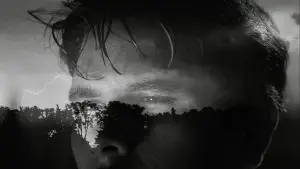 Задник до фильму"" #541801