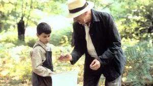 Задник до фильму"Мова метеликів" #470761