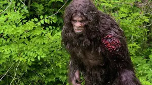 Задник до фильму"" #412020