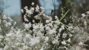 Задник до фильму"Матеріалісти" #558692