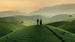 Задник до фильму"" #192673