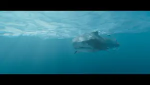 Задник до фильму"" #453765