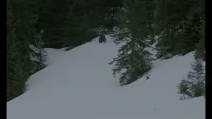 Задник до фильму"" #690735