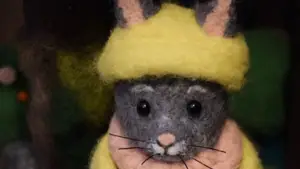 Задник до фильму"Hibernació" #776638