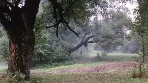 Задник до фильму"Соляріс" #731559