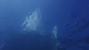 Задник до фильму"" #740599