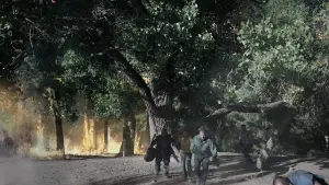 Задник до фильму"Ураган 500 миль на годину" #506259