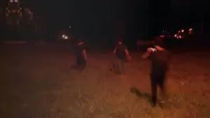 Задник до фильму"Los Archivos Del Parque Pereyra" #774054