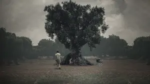 Задник до фильму"Зв’язок" #363042