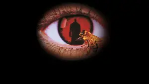 Задник до фильму"Кендімен" #686543