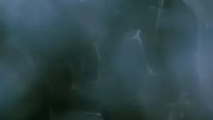 Задник до фильму"Змішані контейнери" #706801