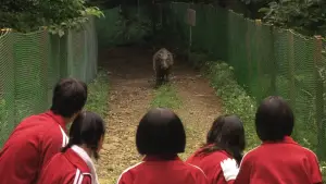 Задник до фильму"Свінг-герлз" #785746