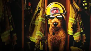 Задник до фильму"Пожежний пес" #429242