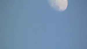 Задник до фильму"" #456325