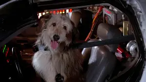 Задник до фильму"Назад у майбутнє" #550608