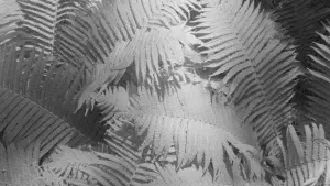 Задник до фильму"Materia vibrante" #789090