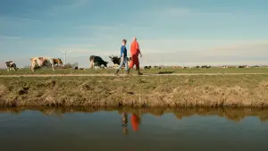 Задник до фильму"" #312197