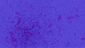 Задник до фильму"BE - VOLUME ONE" #798964