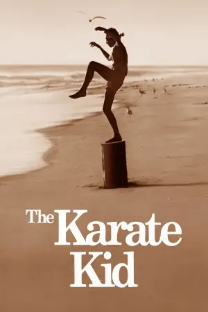 Постер до фильму"Малюк-каратист" #649209