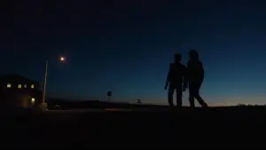 Задник до фильму"Щиголь" #727918