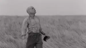 Задник до фильму"Цитадель" #641973