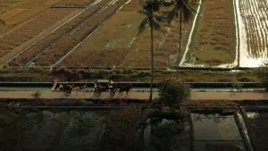 Задник до фильму"" #685554