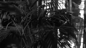 Задник до фильму"Померти знову" #791574