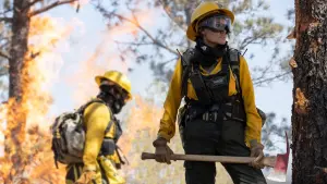 Задник до фильму"Ті, хто бажають моєї смерті" #270756