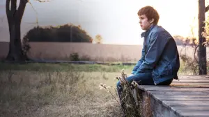 Задник до фильму"Паперові міста" #331878